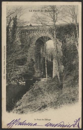 Le pont du Déluge / H. Fauger phot. (vue 2).